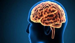 Araştırmalara göre insan beyni büyüyor, peki demans neden artıyor?
