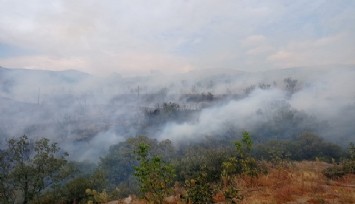 İzmir’de ormanlık alanda yangın: Ekiplerin müdahalesi sürüyor