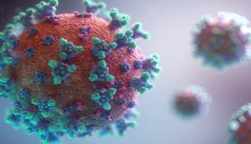 Koronavirüs salgınında vaka sayısı 30 bini aştı