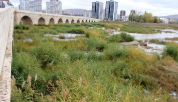 Türkiye’nin en uzun nehri otlağa döndü