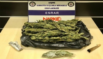 Çeşme'de ormanlık alanda çadır kurup uyuşturucu satanlar yakalandı