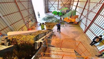İzmir’de bitki atıklarından ayda 20 ton gübre üretiliyor