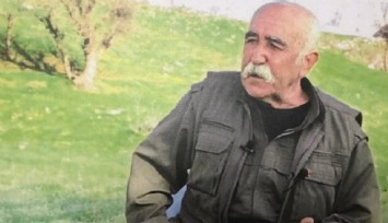 PKK'nın kurucularından Ali Haydar Kaytan etkisiz hale getirildi