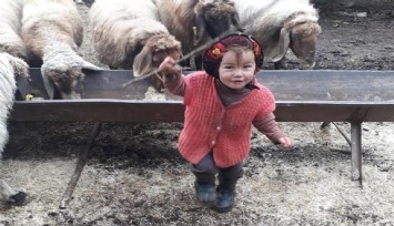 Küçük Müslüme'den acı haber geldi