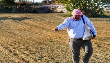 Çeşme Belediyesinden yerli tohum hamlesi:  Başkan Oran belediye arazisine kara yulaf ekti   