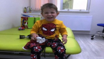 Küçük Çınar “bürokrasi izin verirse” yaşayacak