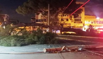 İzmir’de fırtına elektrik direklerini devirdi, ağaçları kökünden söktü