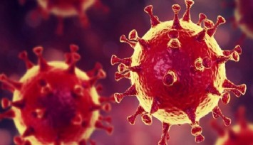 Bugünün Koronavirüs raporu açıklandı: 171 can kaybı, 16 bin 910 yeni vaka var