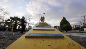 Gaziemir’de köpeklere özel park açıldı