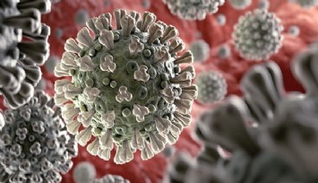 Son 24 saatte Koronavirüs nedeniyle 168 can kaybı, 18 bin 771 yeni vaka var