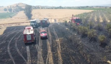 Tire'de yangın çıktı: 40 dönüm arazi kül oldu