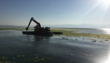 Ege Denizi için beklenen müsilaj açıklaması