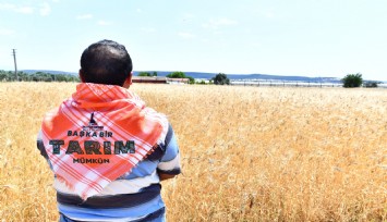 Menderes'te karakılçık tohumunun ilk hasadı yapıldı