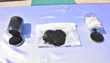 2 bin yıllık ata tohumlarını yurt dışına satmak isterken yakalandı