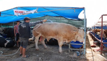Vasıfsız belediye işçilerine yüksek maaş tartışmasına Başkan Soyer'den cevap geldi