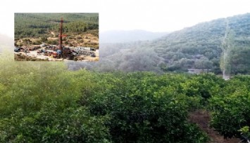 Seferihisar ve Menderes’te organik tarım ve zeytin alanına JES santrali için 27 Temmuz’da 'halkın katılım toplantısı' yapılacağı açıklandı