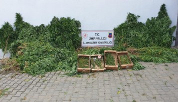 İzmir’in 9 ilçesinde uyuşturucu operasyonu