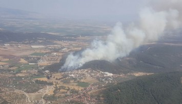 Foça'da yürekleri yakan yangın