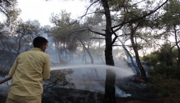 Foça'daki yangın saatler sonra kontrol altına alındı