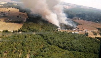 Bornova’da 2 dekar alanda etkili olan orman yangını kontrol alına alındı