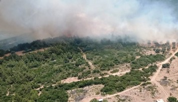 İzmir'de makilik alanda çıkan orman yangını kontrol altında  