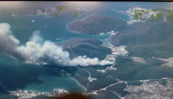 Türkiye’nin ciğerleri yanıyor: Bodrum'da da orman yangını çıktı