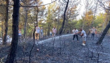 İzmir'de orman yangını  