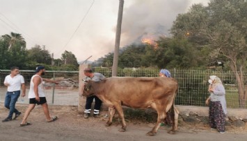 Alevlere teslim olan Marmaris'te göz yaşartan görüntüler