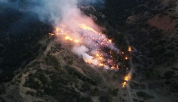 Manisa’da korkutan orman yangını: 10 dönüm alan zarar gördü