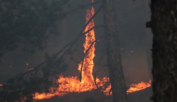 Denizli, bir uçtan bir uca yanıyor