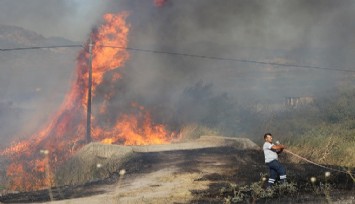 Bir sigara izmariti az daha Dikili’yi yakıyordu, ormanlık alanı küle çeviren yangın güçlükle kontrol altına alındı