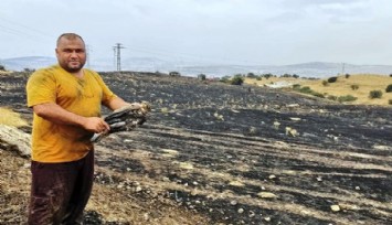 Aliağa’da ormana 5 metre kala söndürülen yangının açıklanan sebebi şaşırttı: Trafoya şahin çarpmış