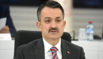 Bakan Pakdemirli: Manavgat yangını kontrol altına alındı