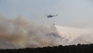 Urla'daki makilik alan yangını kontrol altında  
