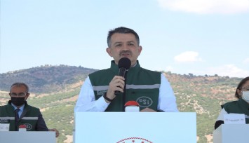 Bakan Pakdemirli: Milas ve Köyceğiz dışında tüm orman yangınları kontrol altına alındı