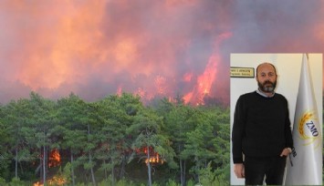 Ziraat Mühendisleri Odası İzmir Şube Başkanı Türk: 200 bin stadyum büyüklüğünde bir alanı etkileyen yangınlar tarım üretimini de vurdu