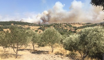 İzmir'de ormanlık alanda yangın: Havadan ve karadan müdahale sürüyor