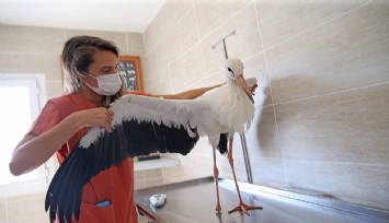 Karşıyaka’da “yaralı leylek” operasyonu