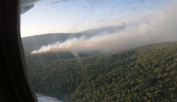 İzmir'deki orman yangını kısmen kontrol altında  