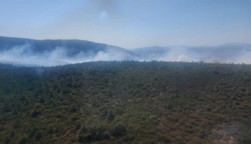 İzmir’de 1 günde 3'üncü yangın