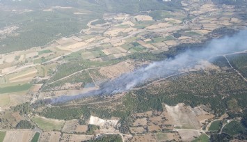 Bergama’da ağaçlandırma sahasında çıkan yangın kontrol altında  