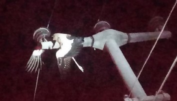 Elektrik tellerine takılan leylek yangına neden oldu  