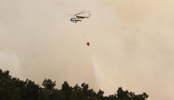 Aydın’da orman yangını: Havadan ve karadan müdahale ediliyor