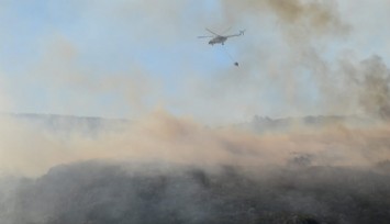 İzmir’deki orman yangınları kontrol altında  