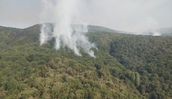 Tunceli'de orman yanmaya devam ediyor