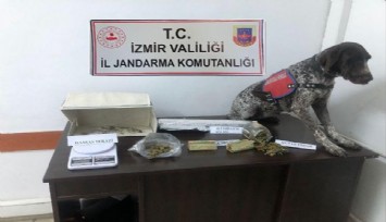 İzmir’in 14 ilçesinde Jandarmadan uyuşturucu tacirlerine darbe  