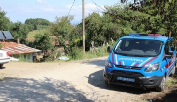 Fındık toplamaya gelen ailede kavga: 2 can kaybı, 2'si ağır 4 yaralı