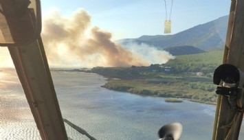 Aydın’da orman yangını: Havadan ve karadan müdahale ediliyor