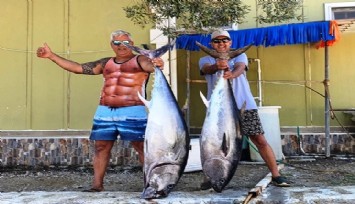 Urla’da amatör balıkçıların oltasına insan boyunda iki orkinos takıldı