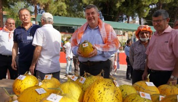 Çeşme’de festival coşkusu: En iyi sakız koyunu ve en iyi kavun seçildi